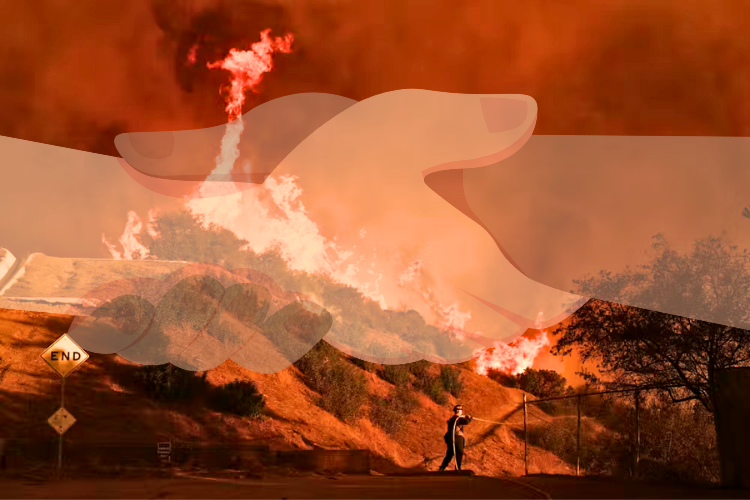 Photo of red cliffs with burning trees and a firefighter overlayed by 1 white & 1 black hand holding each other